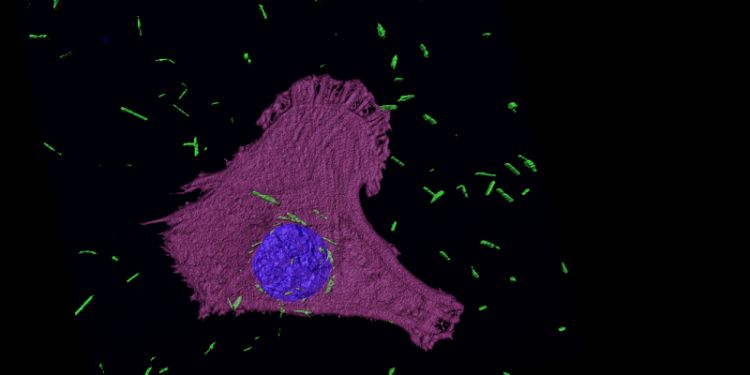 Gold nanotubes could help treat asbestos cancer