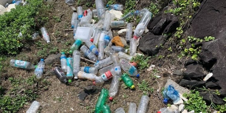 Cash from trash: could it clean up the world?