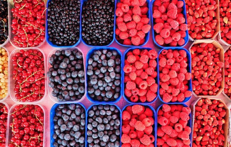 BBSRC project to accelerate development of natural colorants