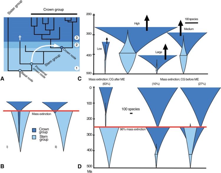 Diagram showing Dr Mann's research