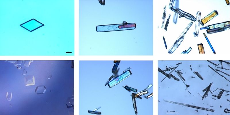 A series of 6 images each of different structures of crystals.