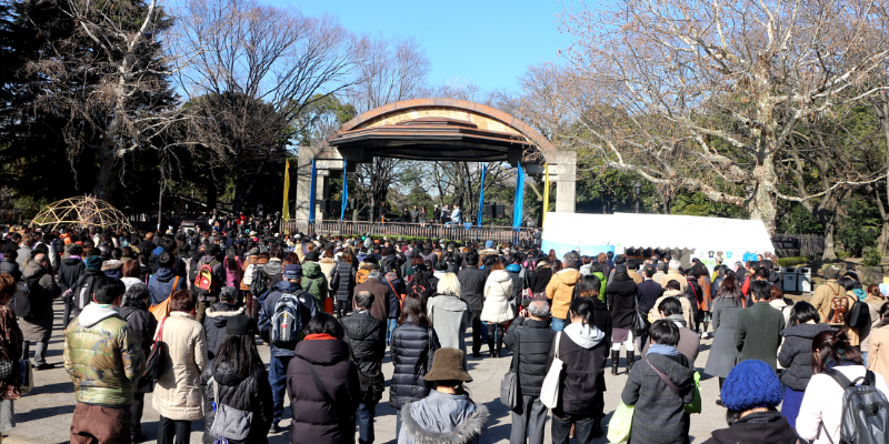 A photograph of a anti-nuclear protest in Tokyo.