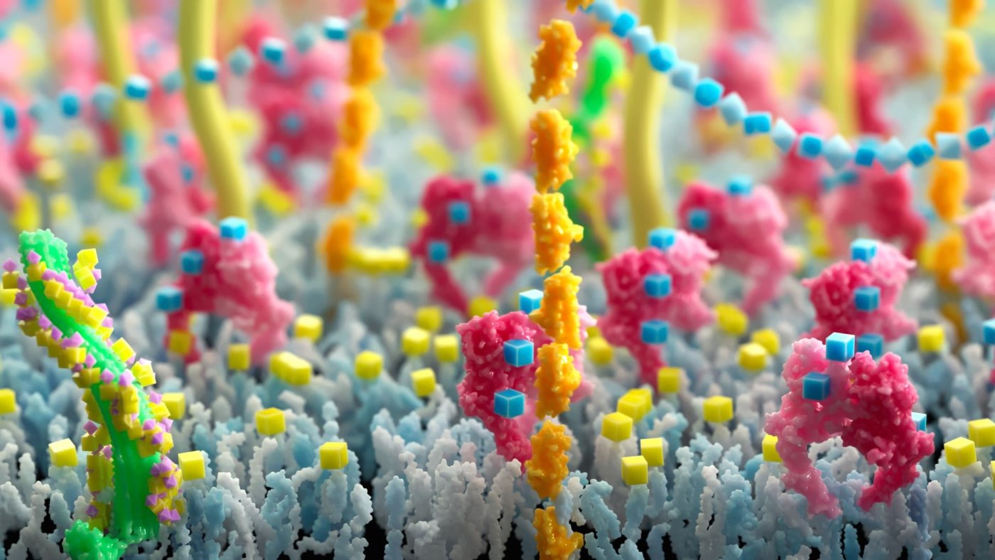 A colourful visualisation of glycans at a cell surface.