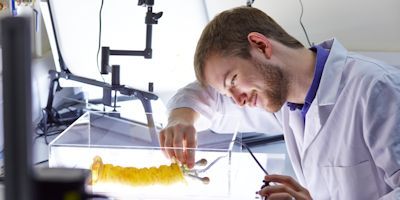 Postgraduate researcher in mechanical engineering
