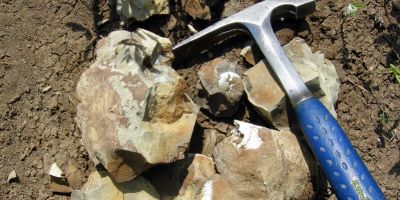 Archaeology tools.