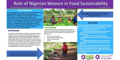 Mercy Iroegbu poster for INWED