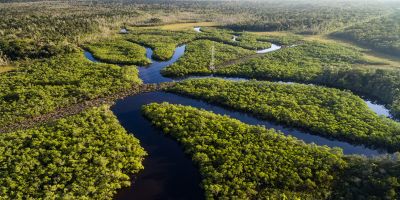Amazon Rainforest