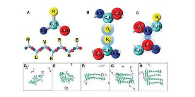 Representation of peptide fragments in silico