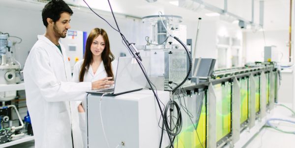 male and female msc students from energy and environment