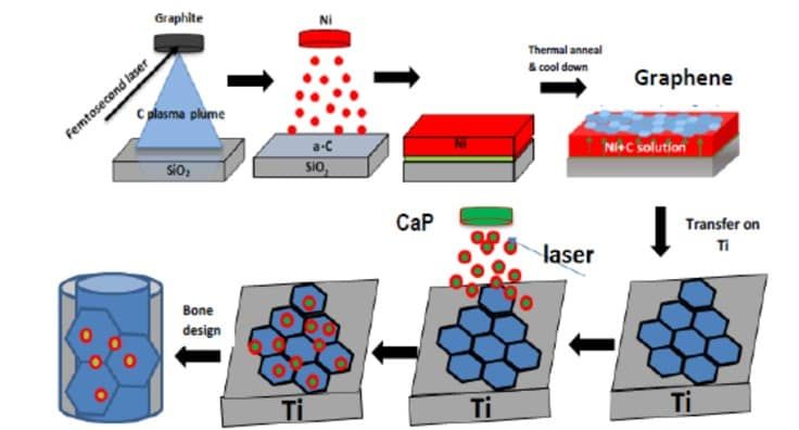 schematic diagram of bone-GraphT process