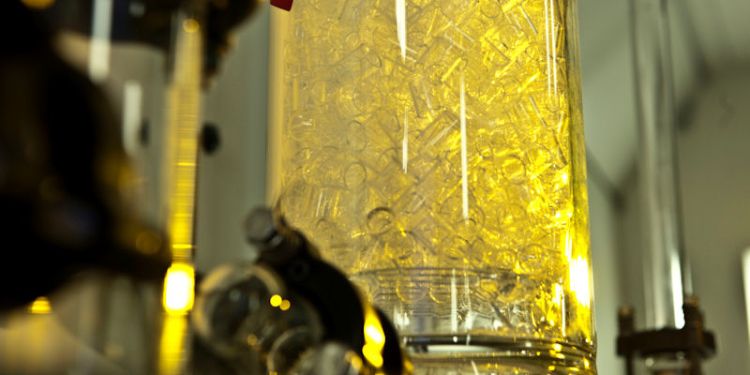 Industrial biotechnology