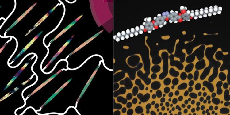 PhD soft matter research showcased by leading journals
