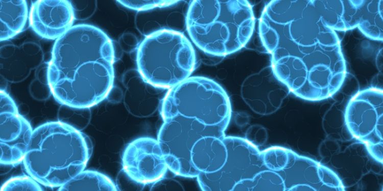 Mathematical biology and medicine research at the University of Leeds