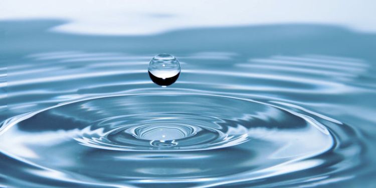 Water Woman Award winners inspire female researchers