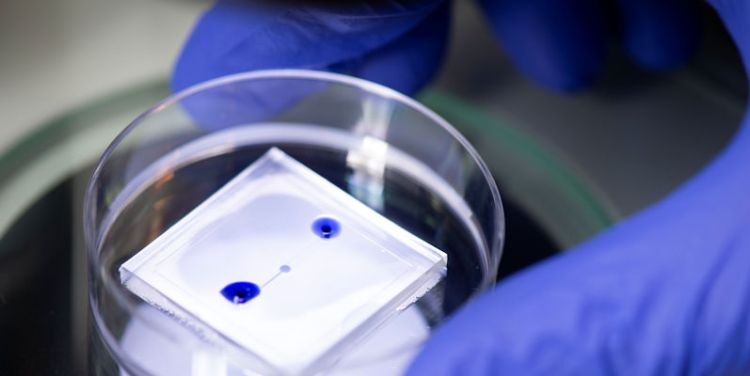 Agata running lab experiments