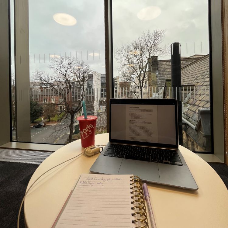 Fatima Mammadova - student using a laptop in the library
